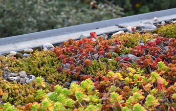 the cost of Maddox Moor green roof installation
