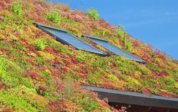 Maddox Moor living roof systems