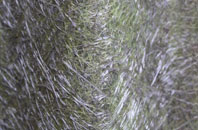 Maddox Moor fibreglass roof work